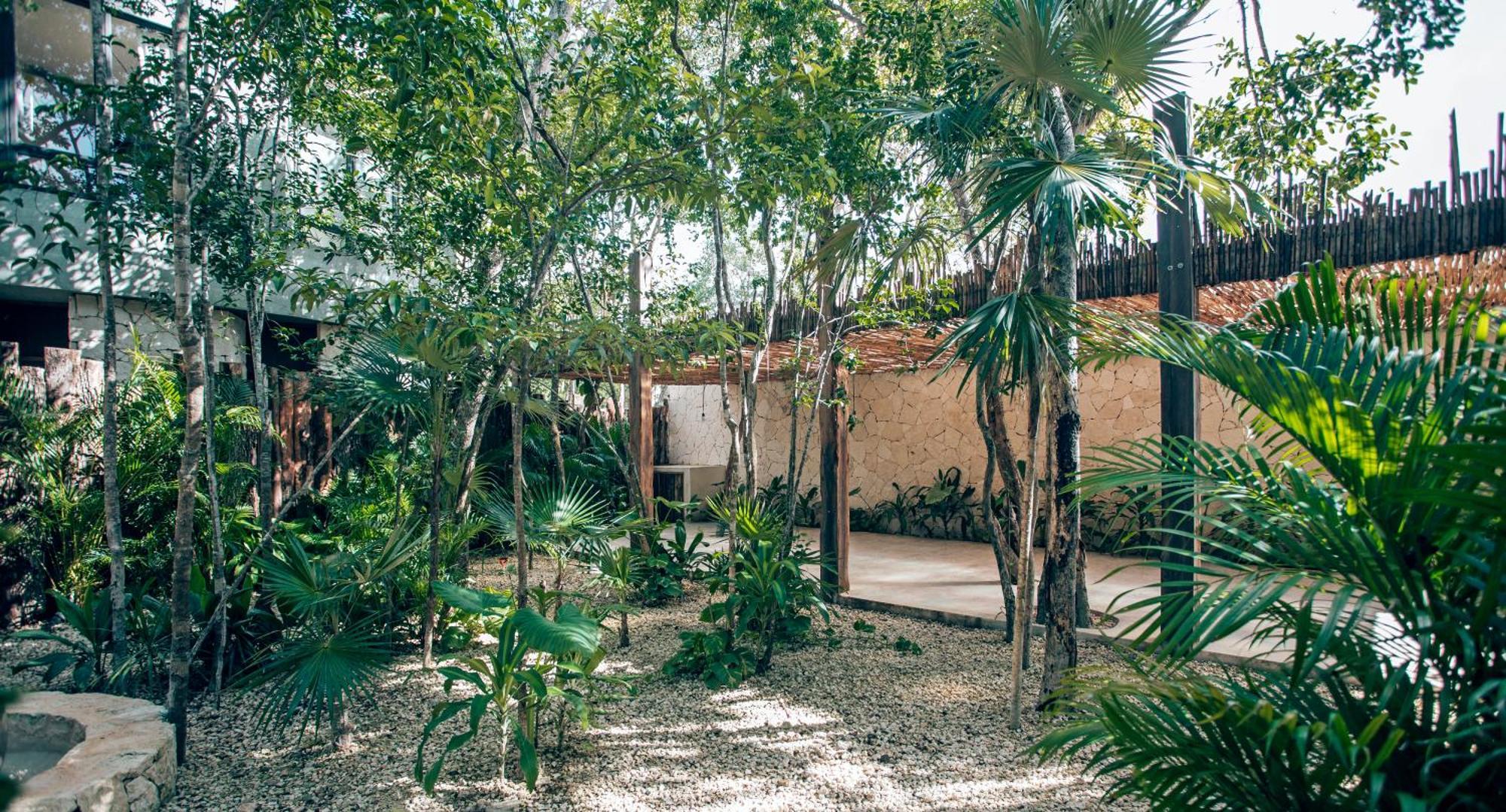 Luxury Jungle Villa-Pvt Pool -100Mbs- Concierge 8A Tulum Exteriör bild